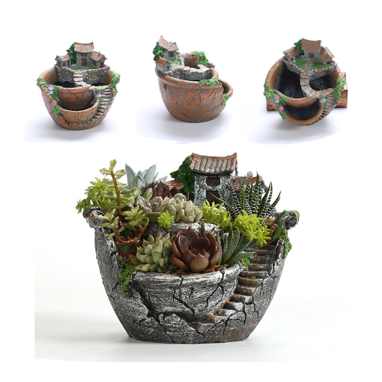 Суккуленты в кашпо