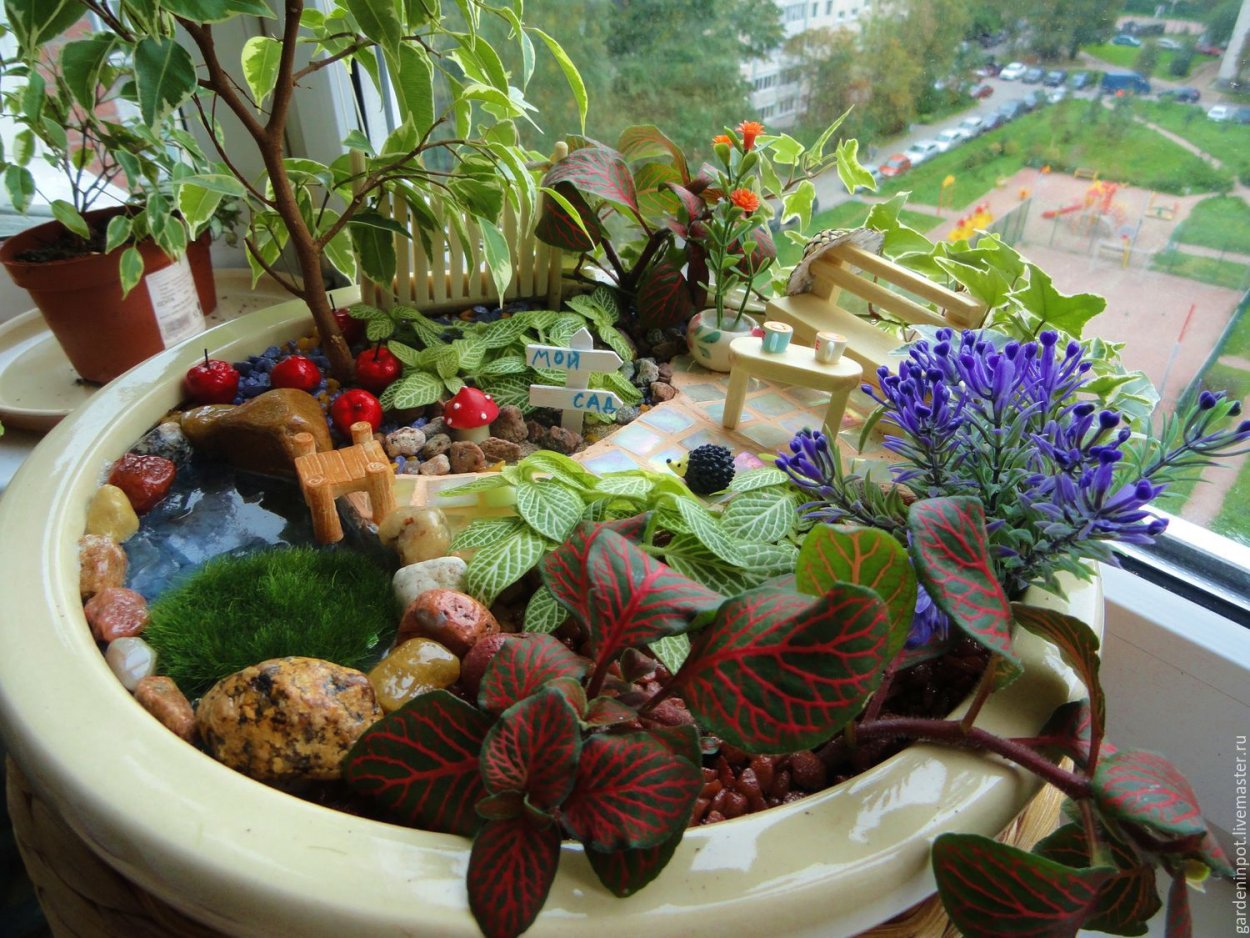 Мини садик в горшке