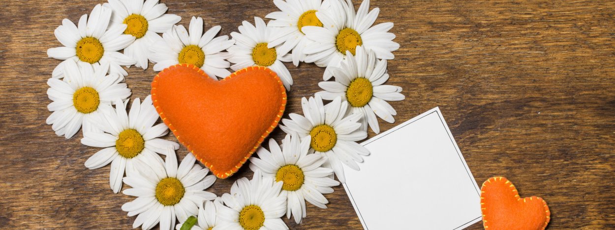 Венок из ромашек