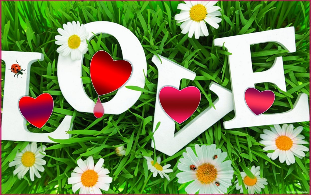 Романтичная Ромашка