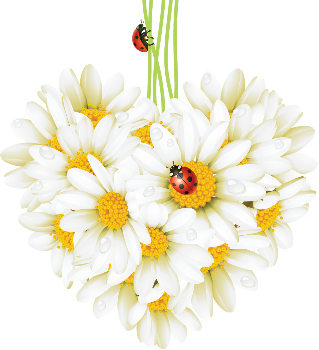 Сердце из цветов