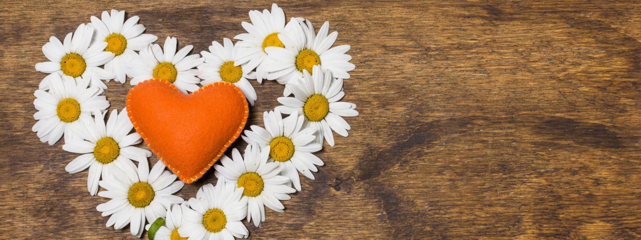 Сердечко из ромашек