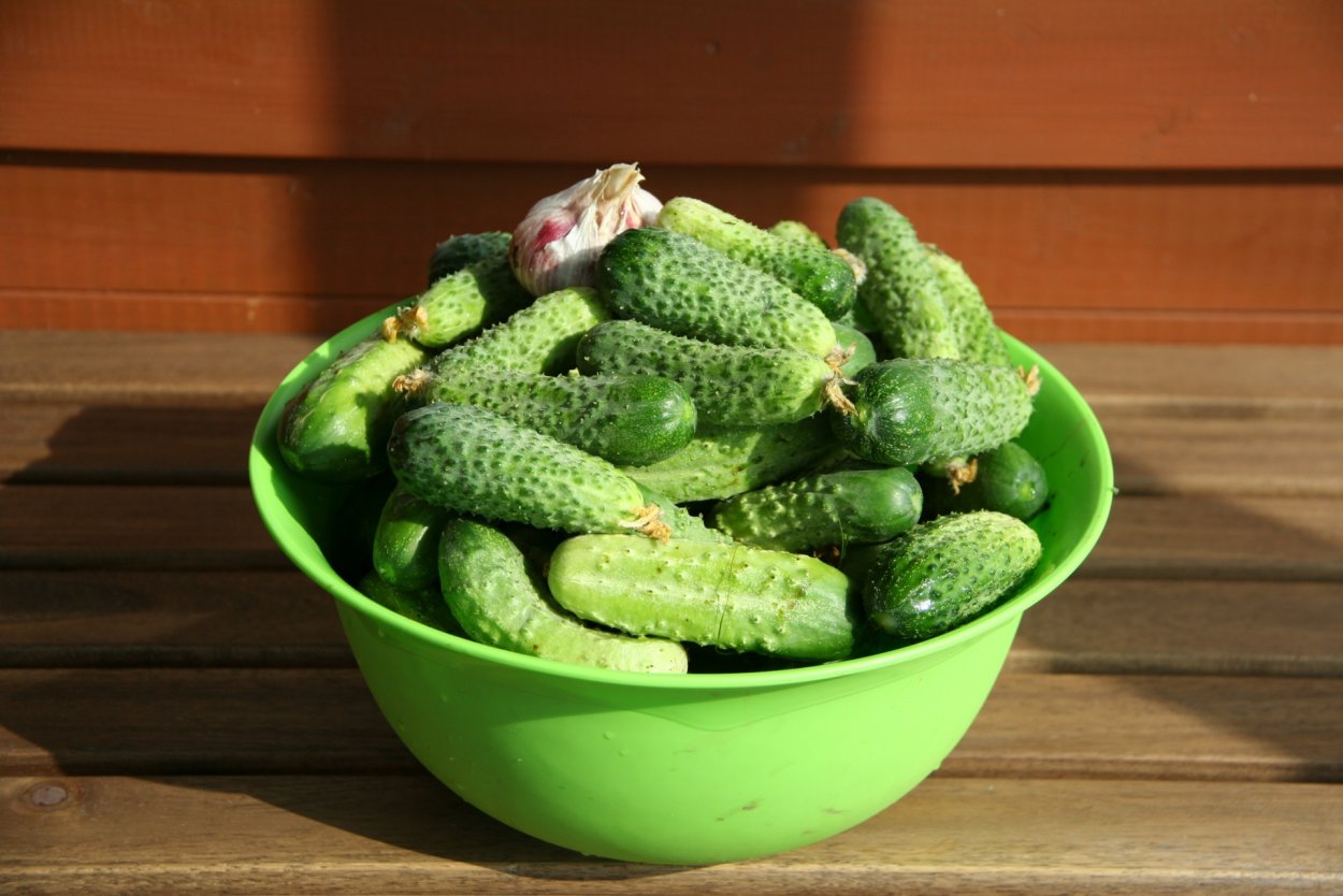 Тазик огурцов