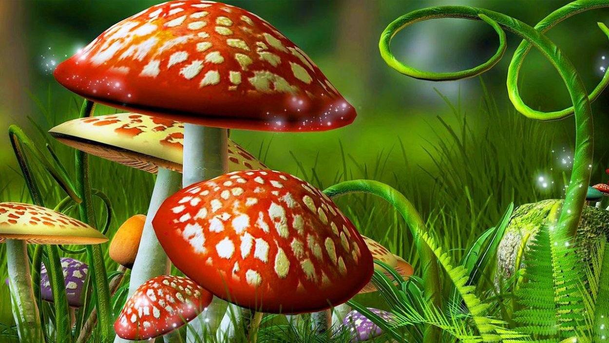 Волшебный мухомор