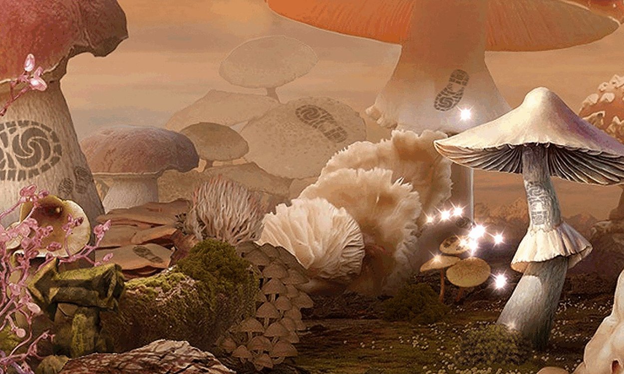 Игра грибная Эра 2