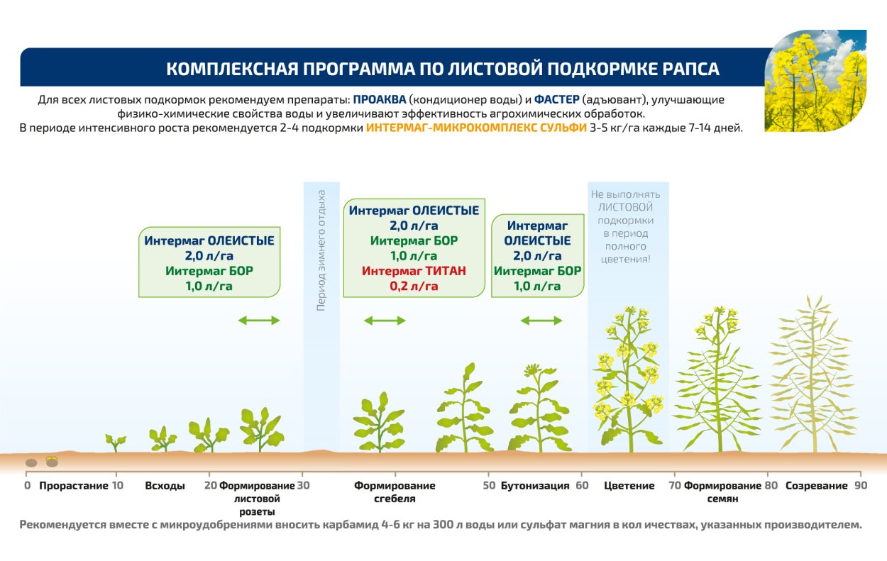 Прорастание газона