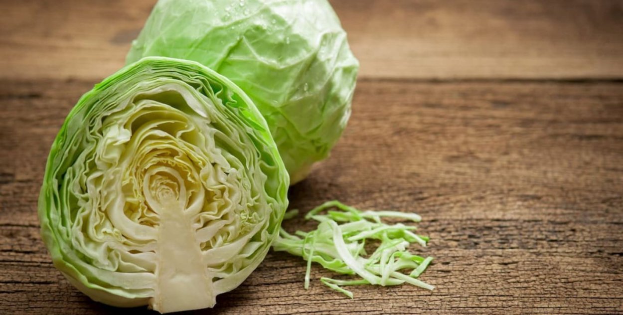 Белокочанная капуста капуста краснокочанная