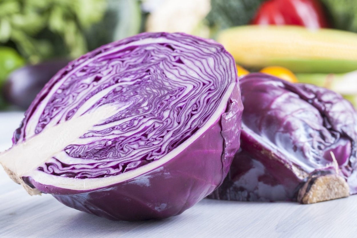 Brassica oleracea сорта