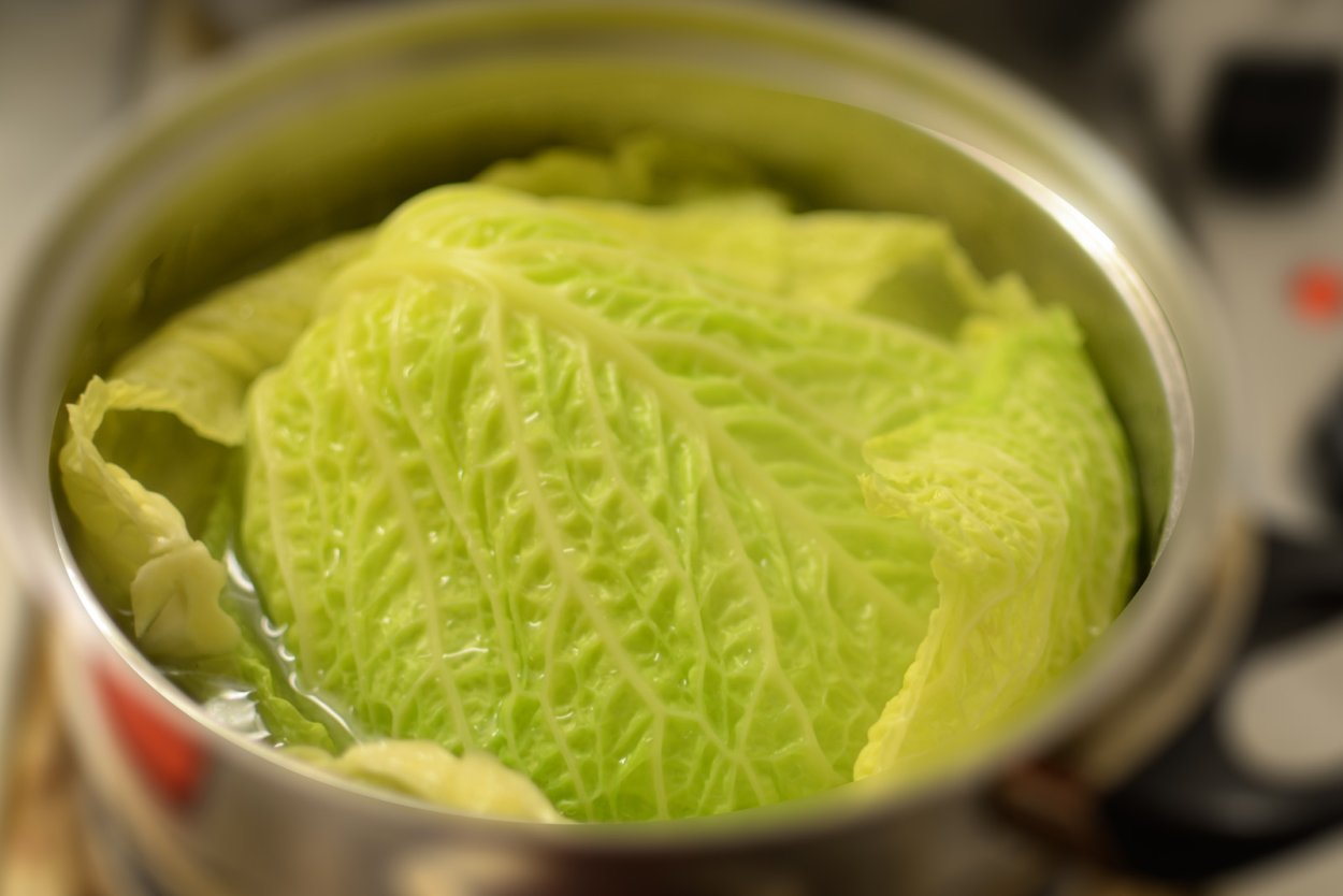 Левашинская капуста поля