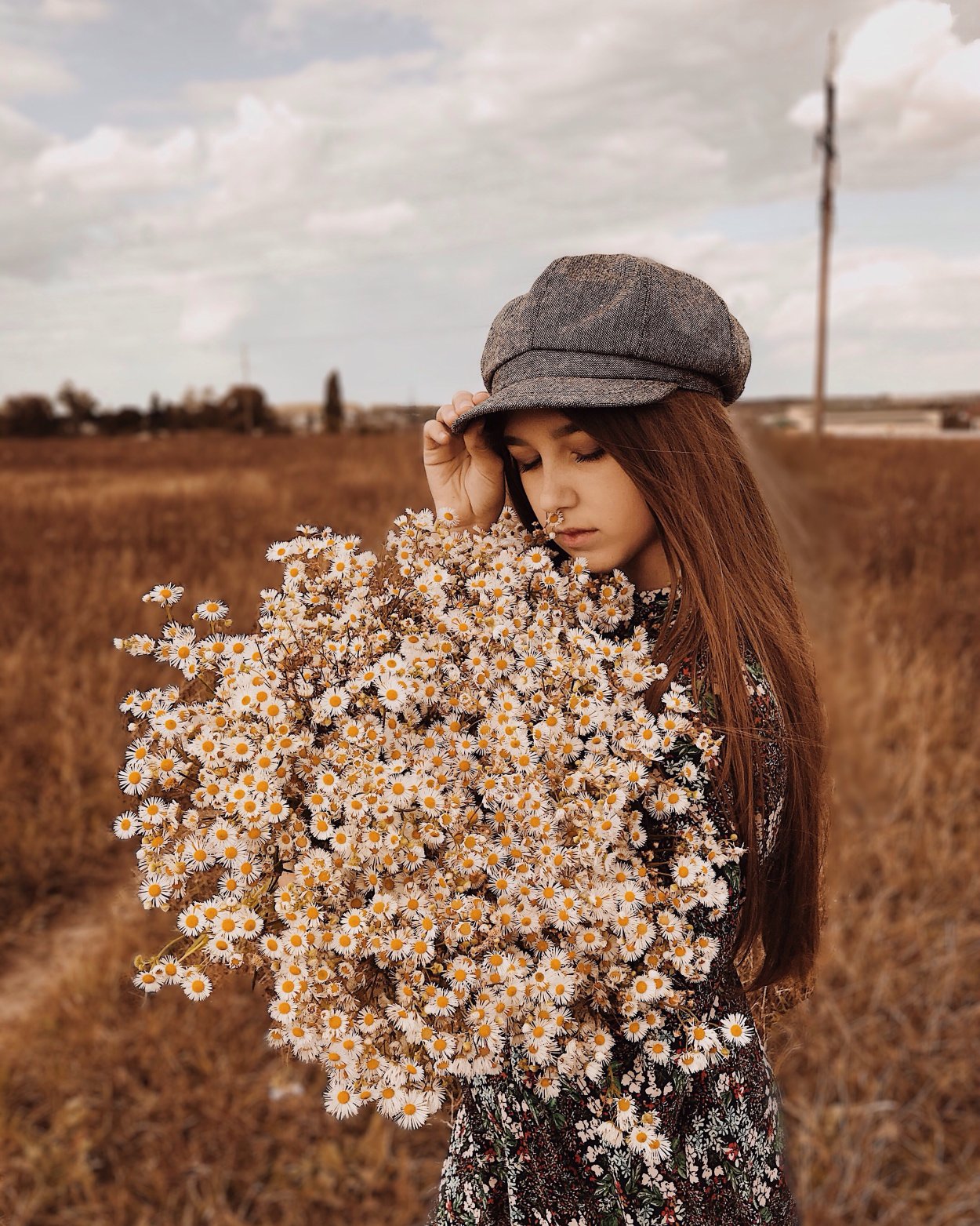 Кусты на закате