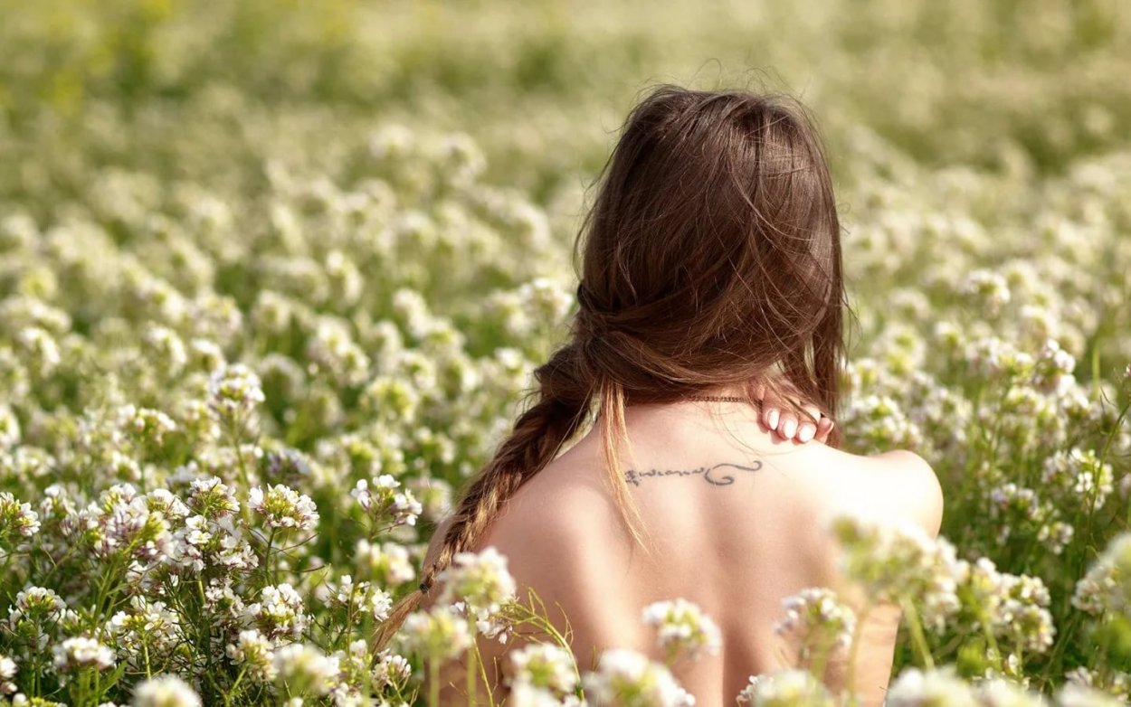 Гречишное поле