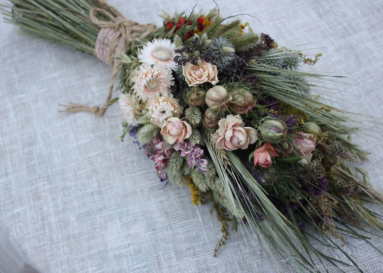 Ковыль cухоцвет