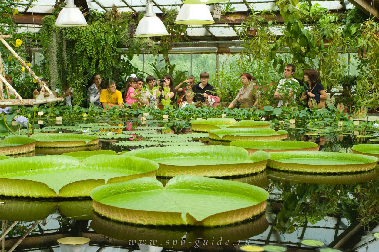 Ботанический сад МГУ Москва
