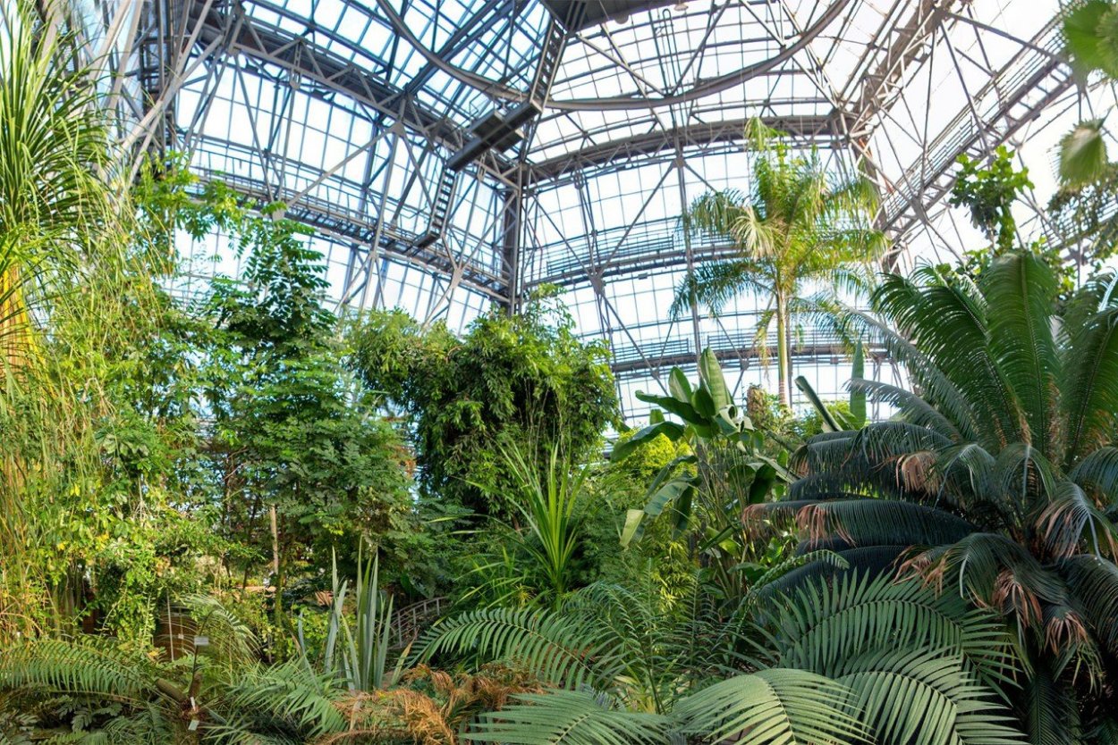 Оранжереи в Ботаническом саду Петра Великого, Санкт-Петербург