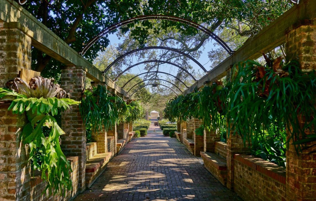 Ботанический сад сент-Винсент