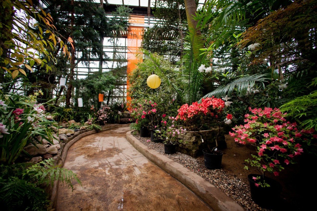 Главный Ботанический сад РАН