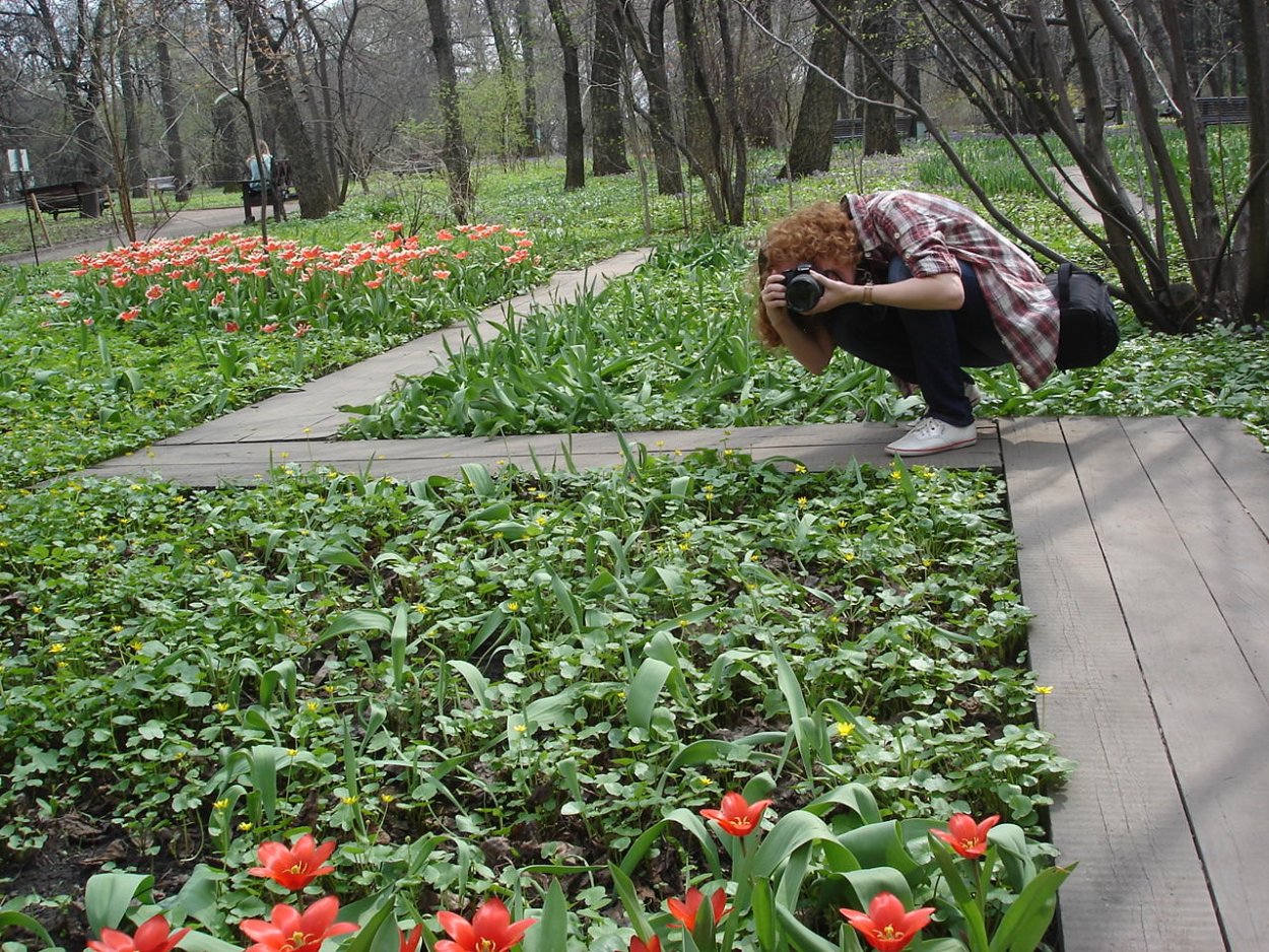 Ботанический сад США Капитолий