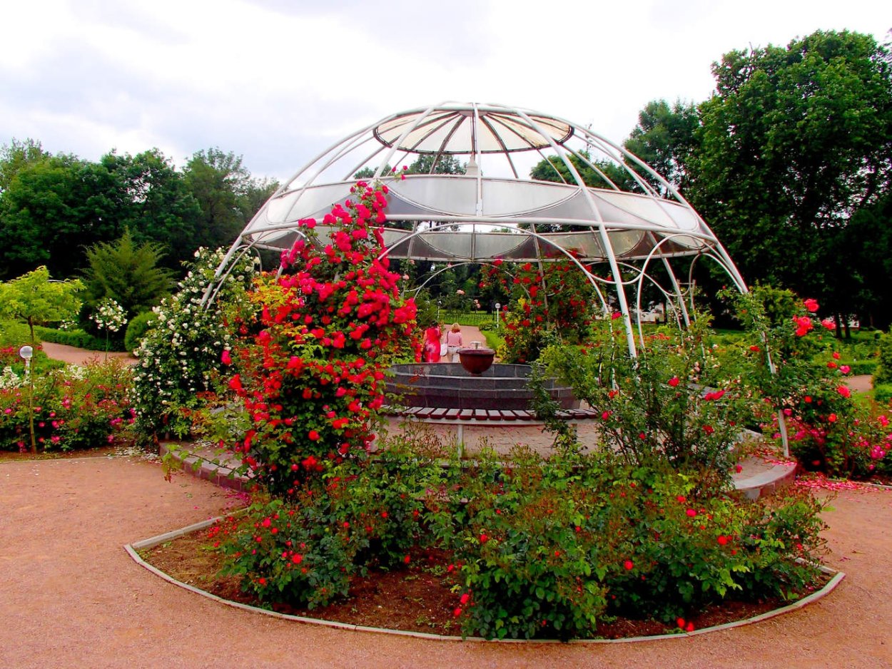 Никитский Ботанический сад Ялта