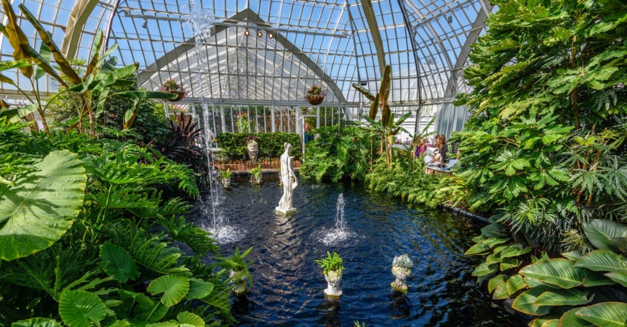 Кемеровский Ботанический сад, Кемерово