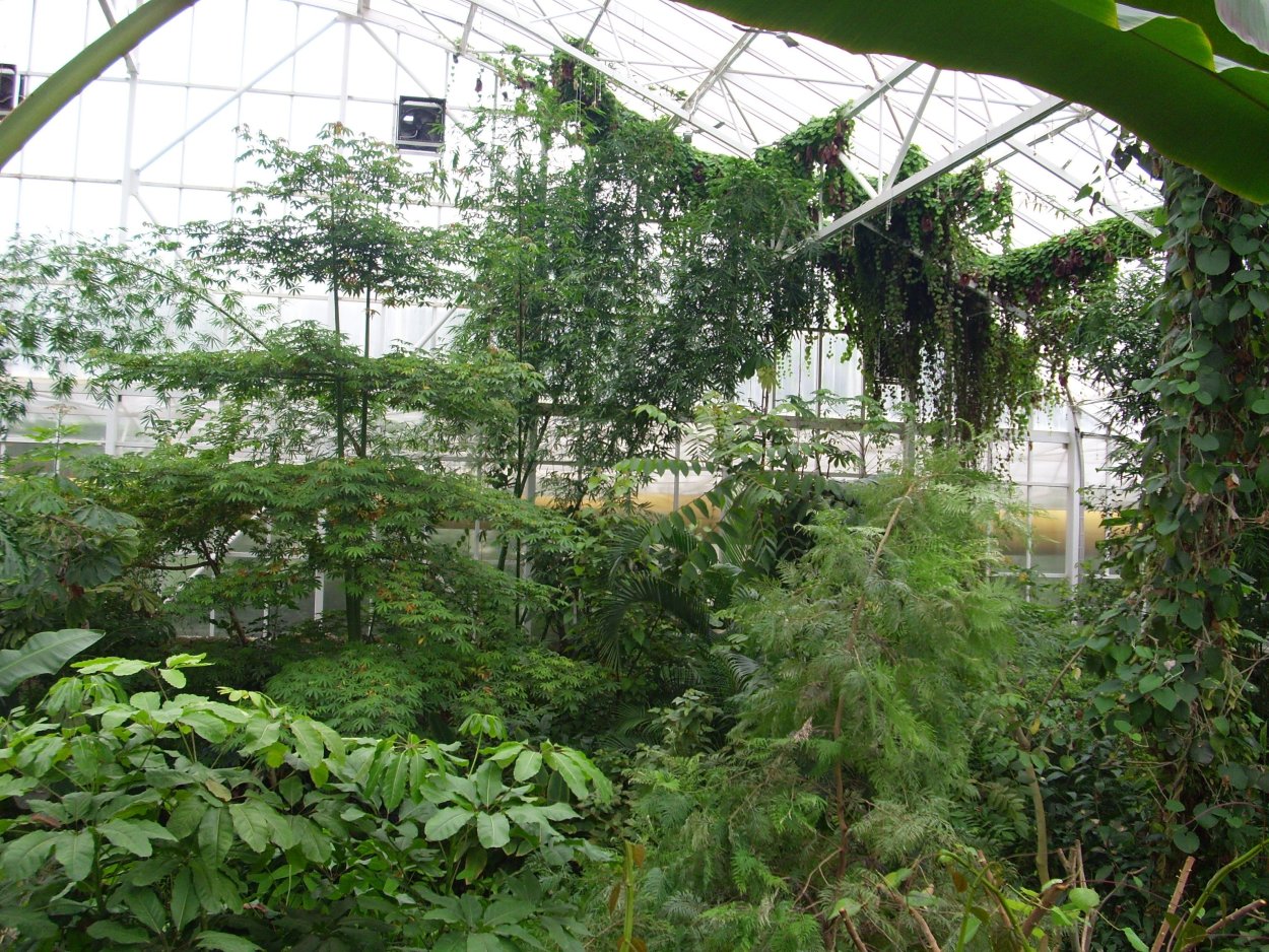 Ботанический сад Санкт-Петербург карта