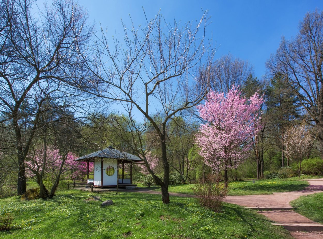 Экскурсия по ботаническому саду