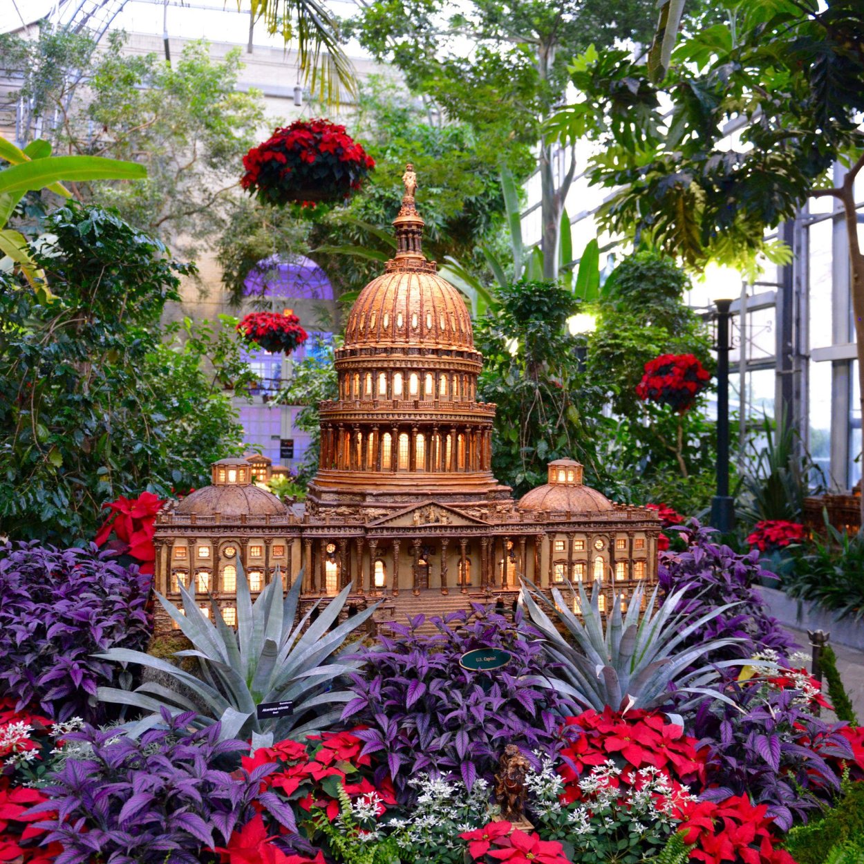 Богорский Ботанический сад