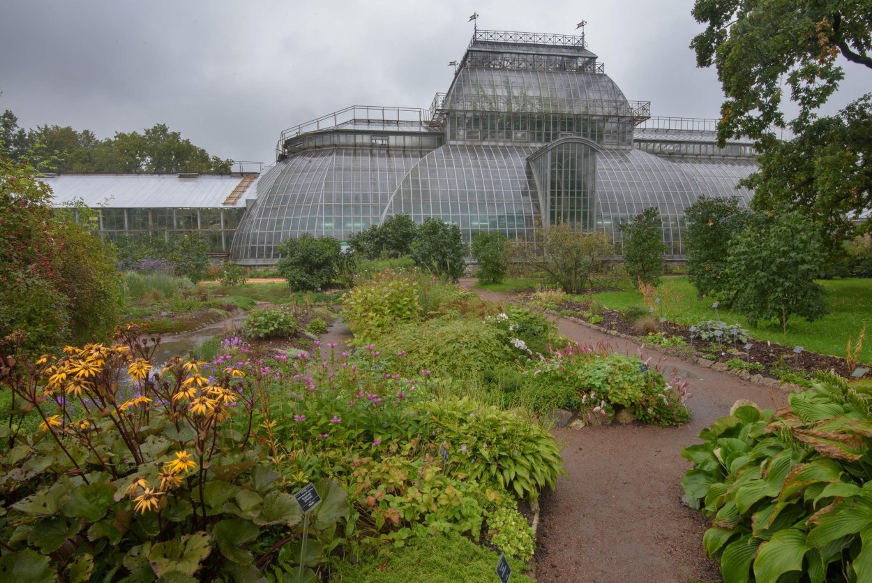 Сингапур оранжерея cloud Forest