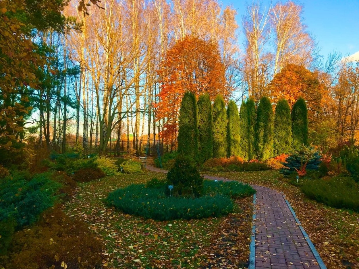 Карта ботанического сада Аптекарский огород