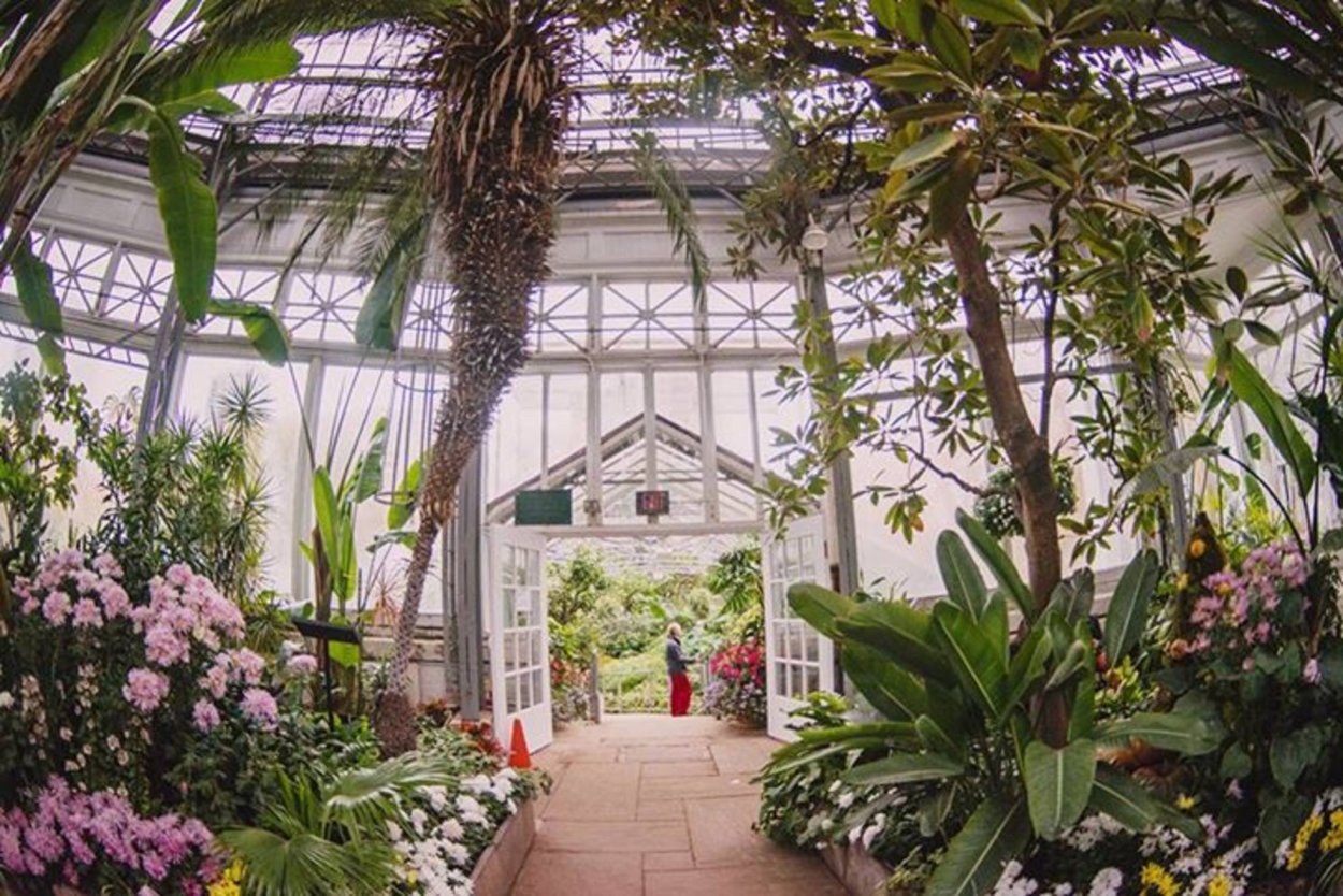 Оранжерея Ботанический зимний сад