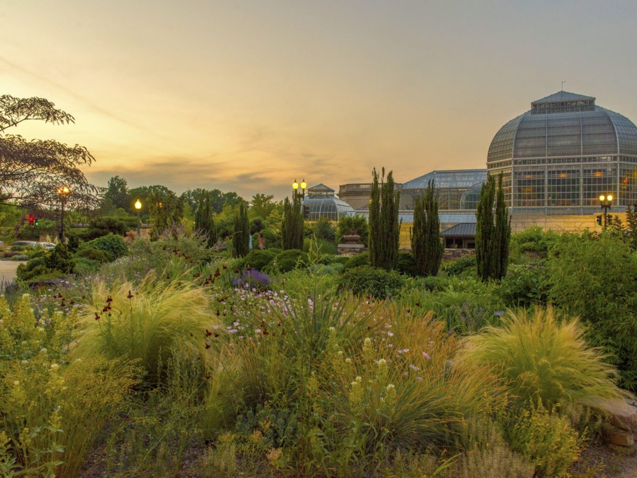 Ботанический сад Саранск