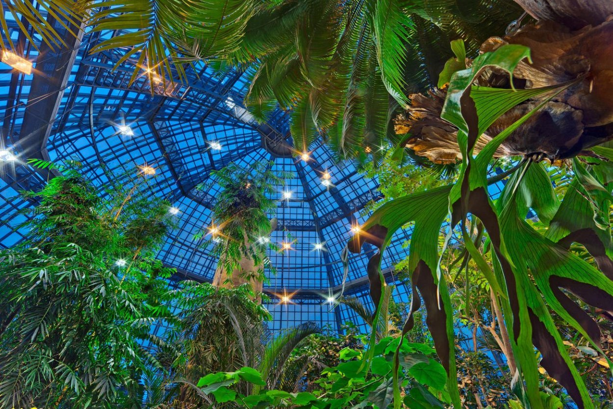 Ботанический сад Чебоксары растения