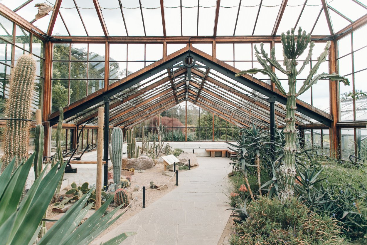 Оранжерея Петра Великого СПБ