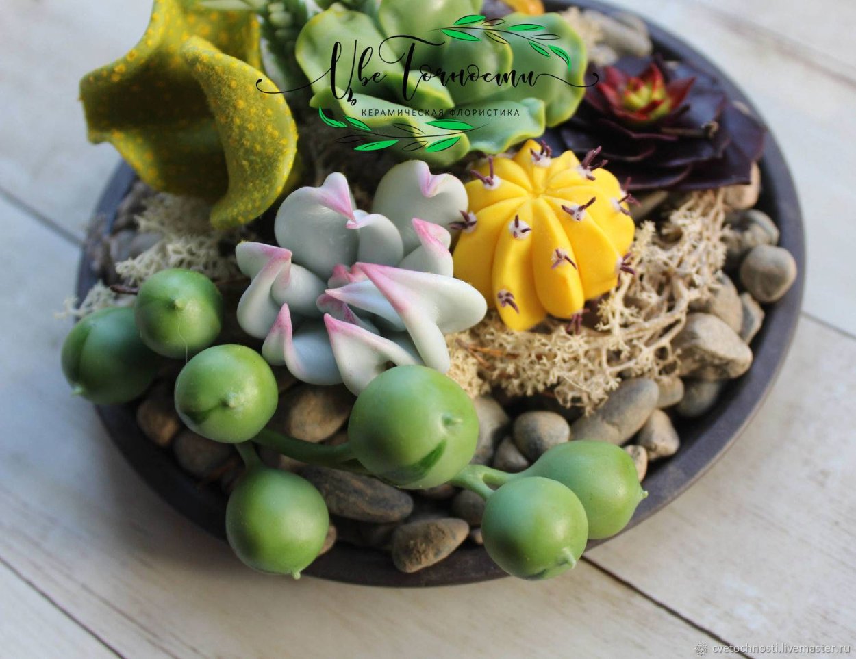 Суккулент Литопс зелёный