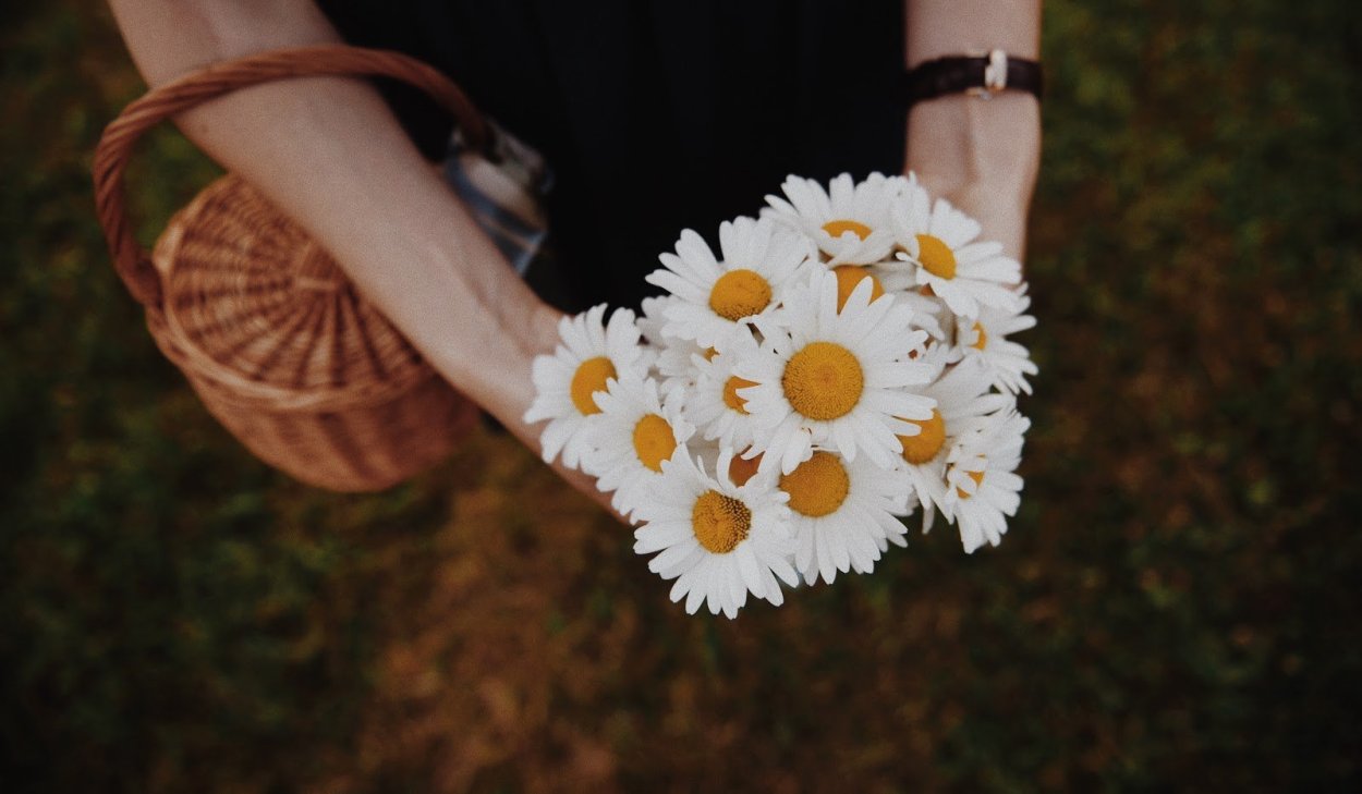 Букет ромашек