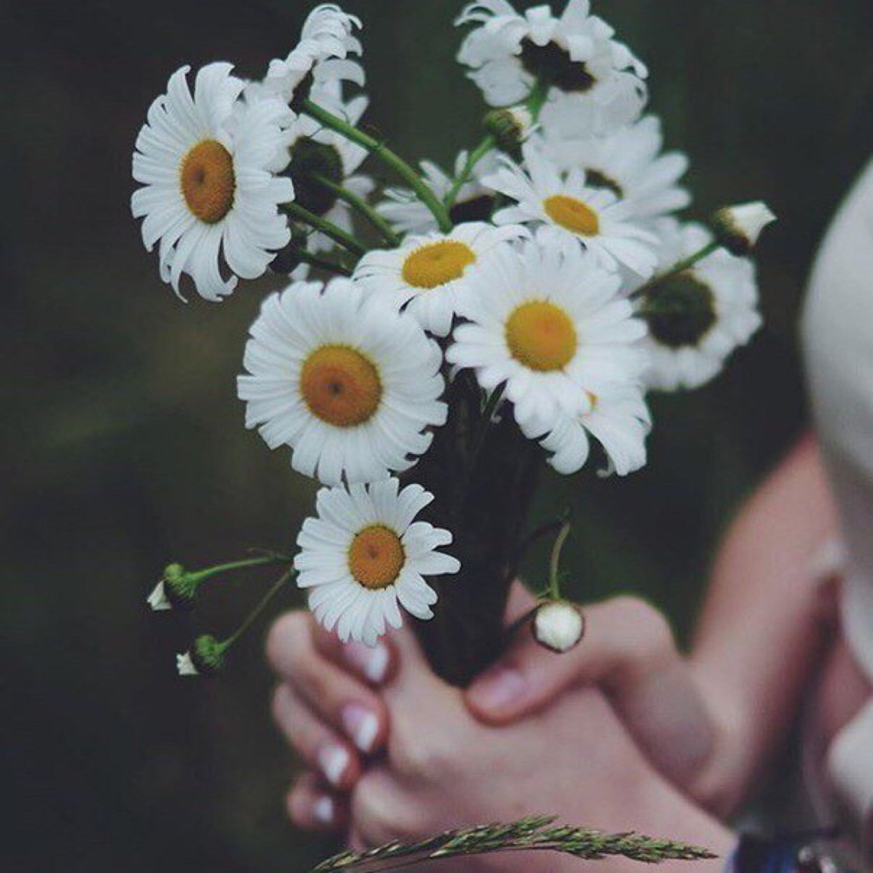 Девушка с букетом ромашек