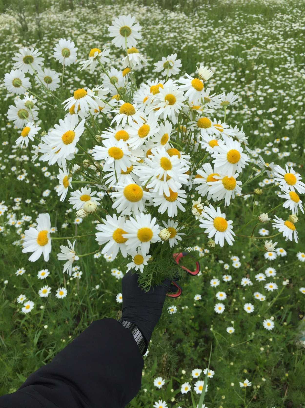 Букет "девушке"