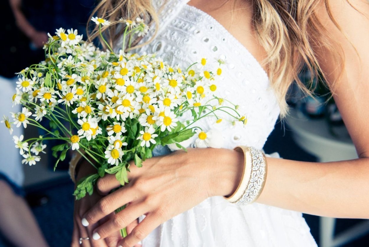 Роскошные ромашки