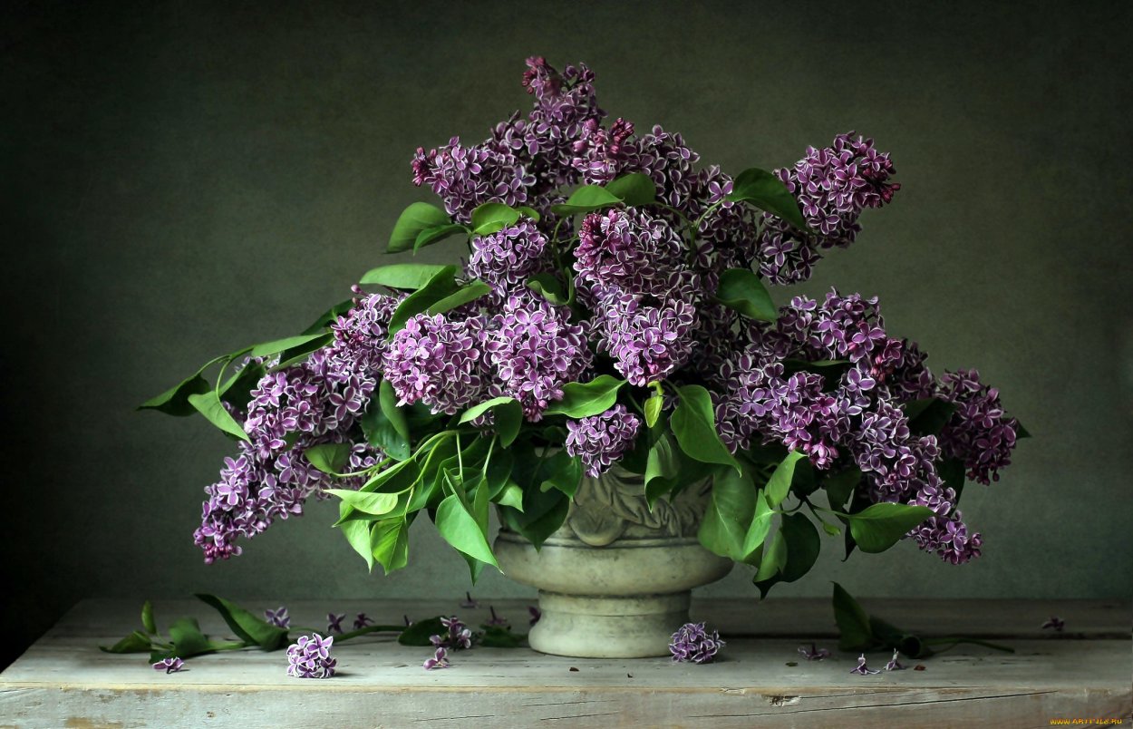 Букет "сирень микс"