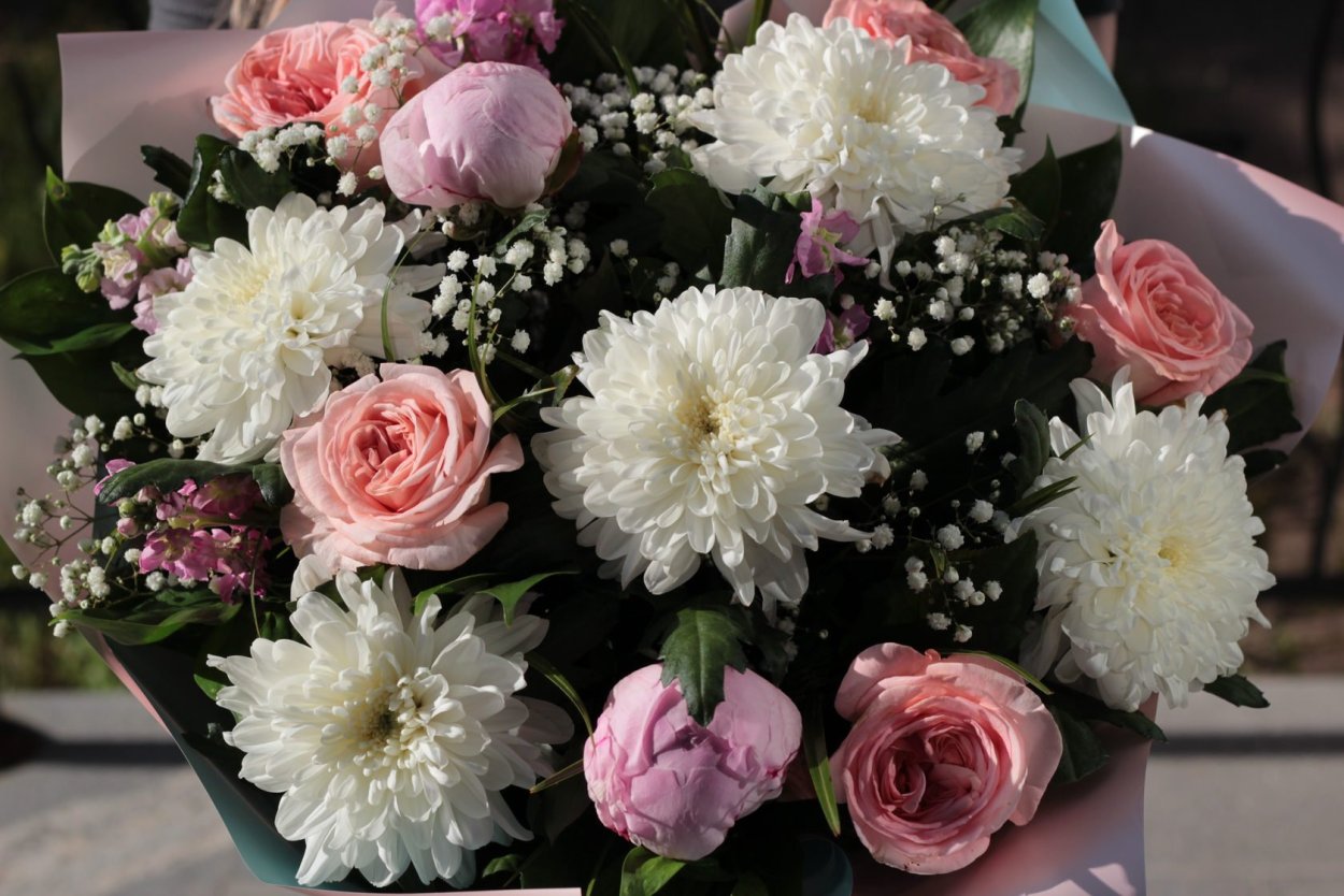 Пионы гипсофилы лилии