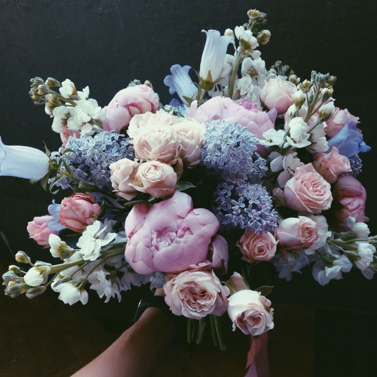 Гортензия с гипсофилой