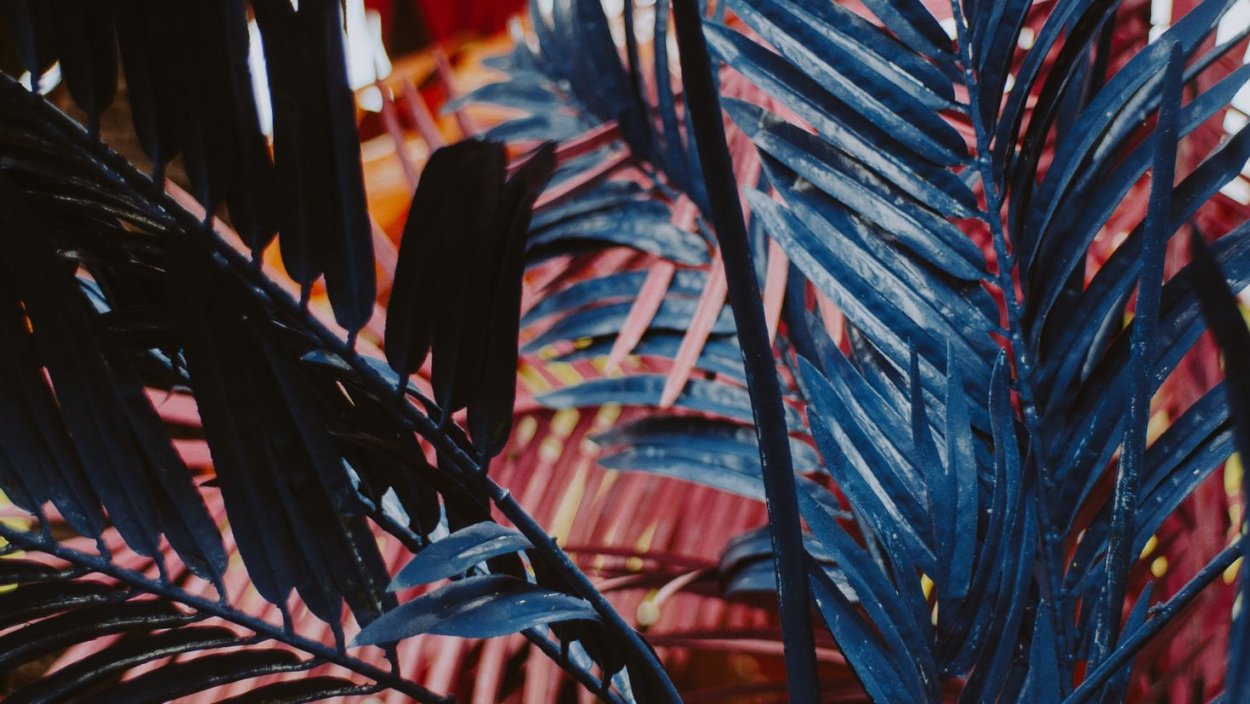 Обои с голубыми цветами на белом фоне