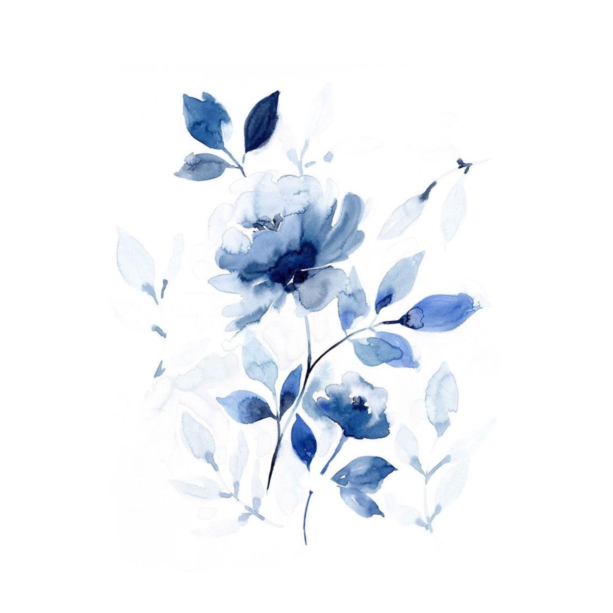 Суккулент Нефритовая роса