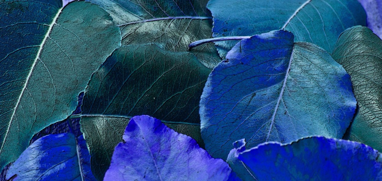 Акварельные листочки