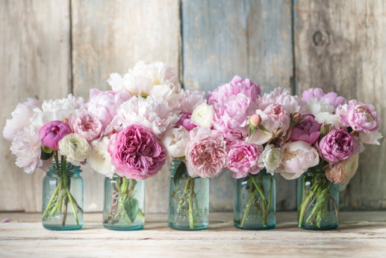 Скимия сухоцвет