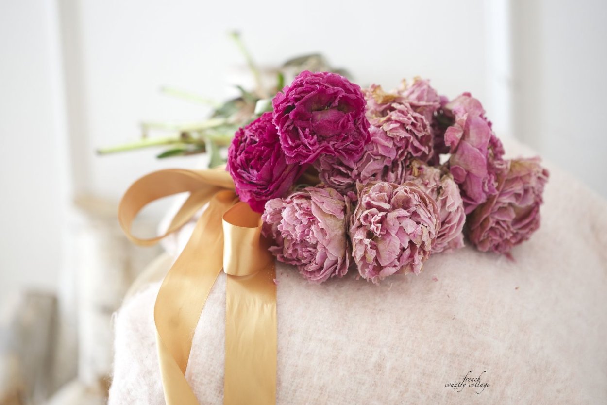 Пионы сухоцветы