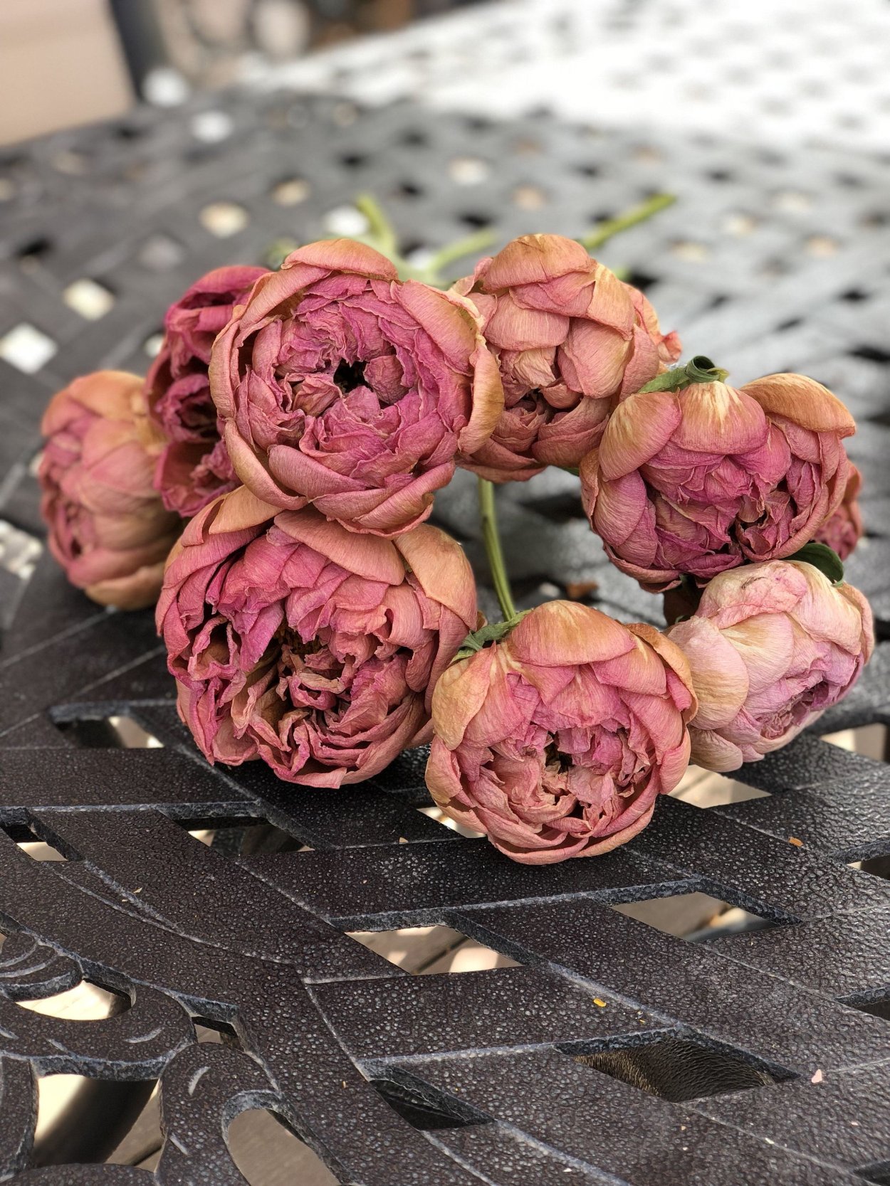 Пионы на постели