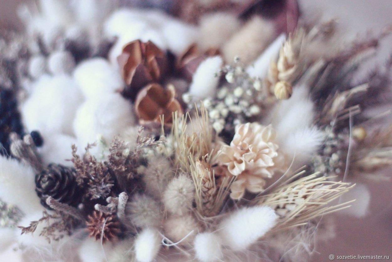 Dried Flowers сухоцветы