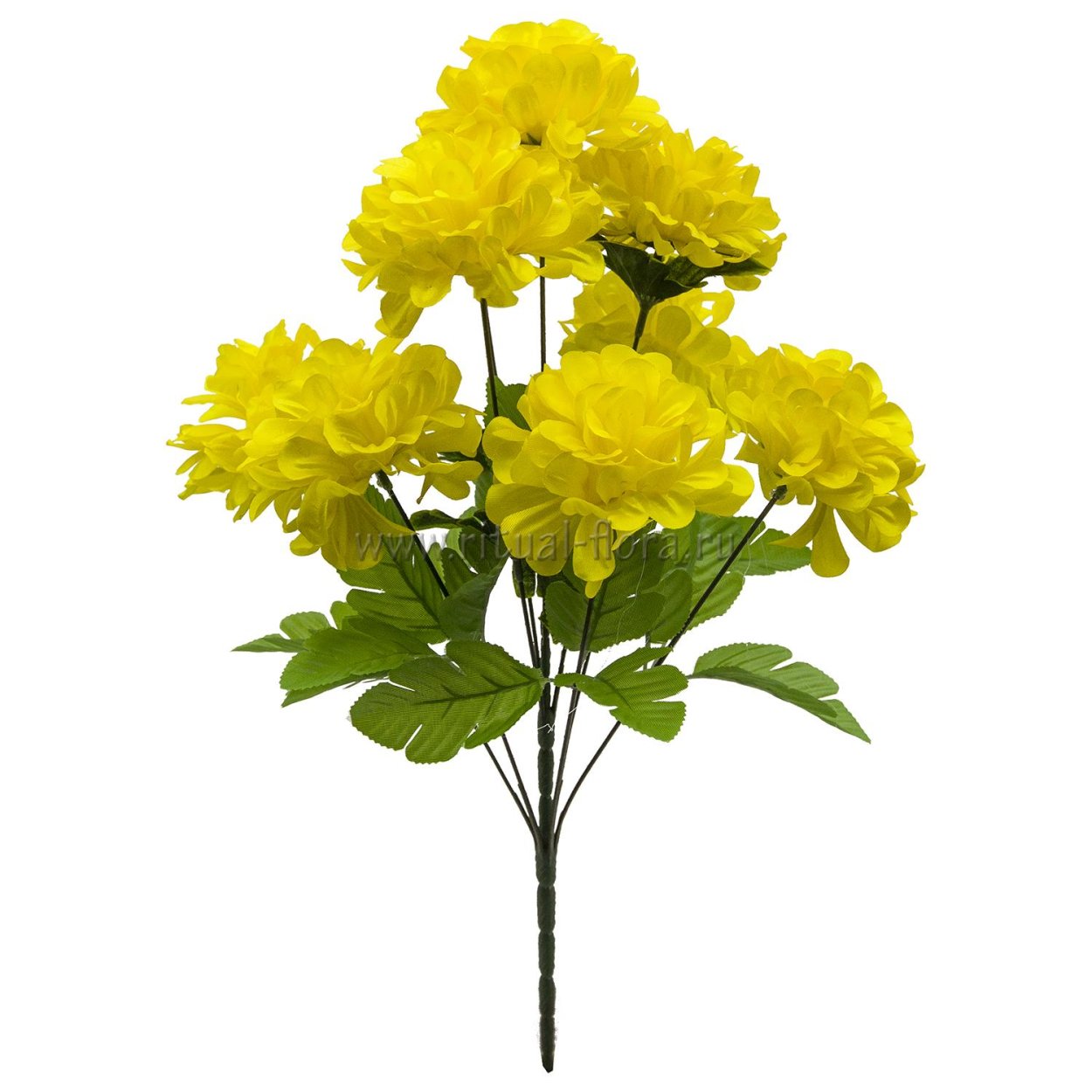 Бархатцы Тагетес Саншайн