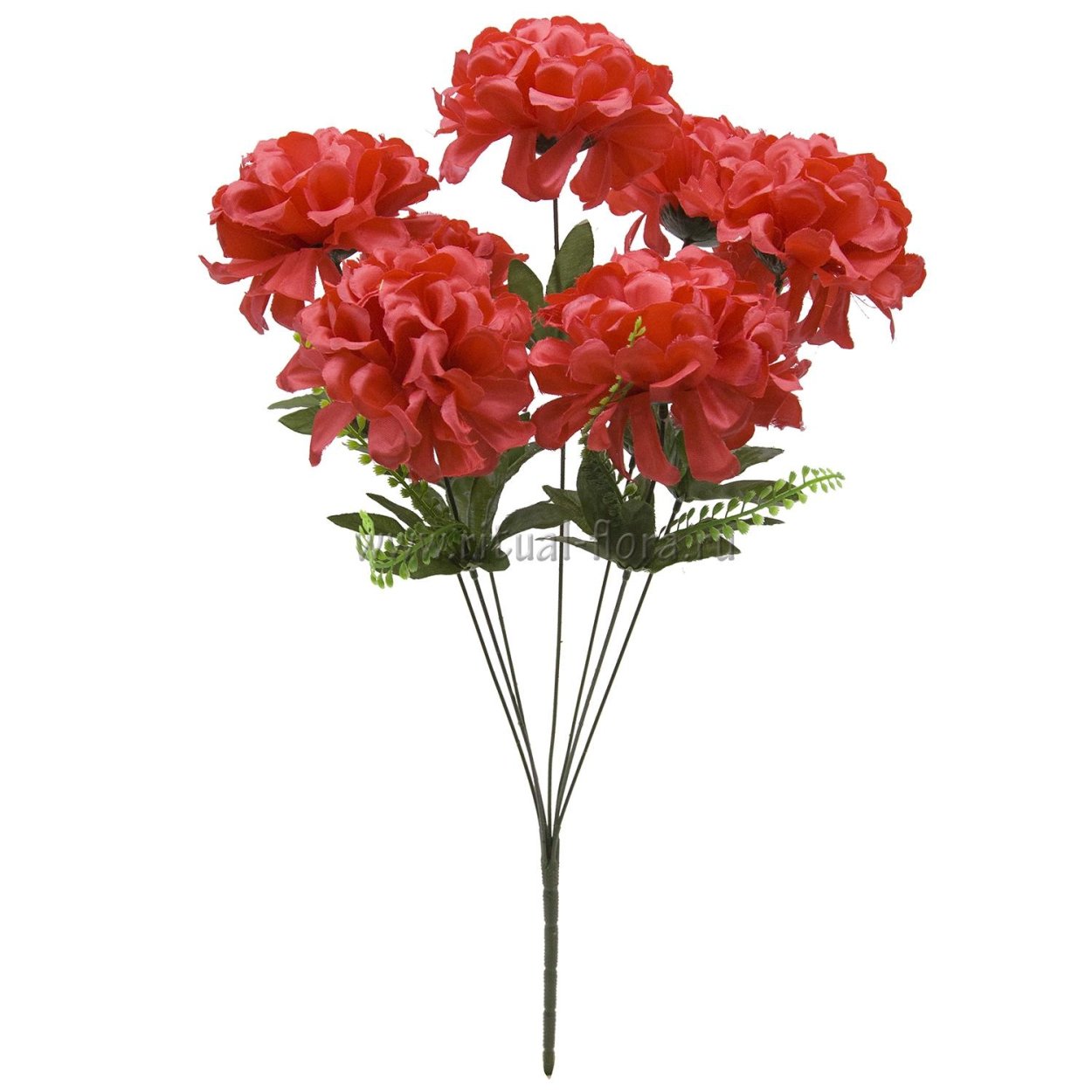 Шафран садовый цветок