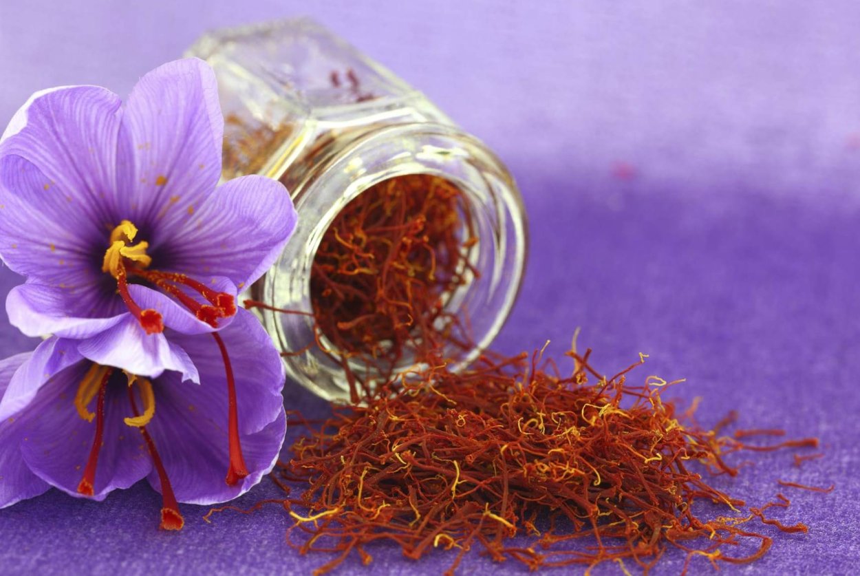 Крокус Шафран весенний